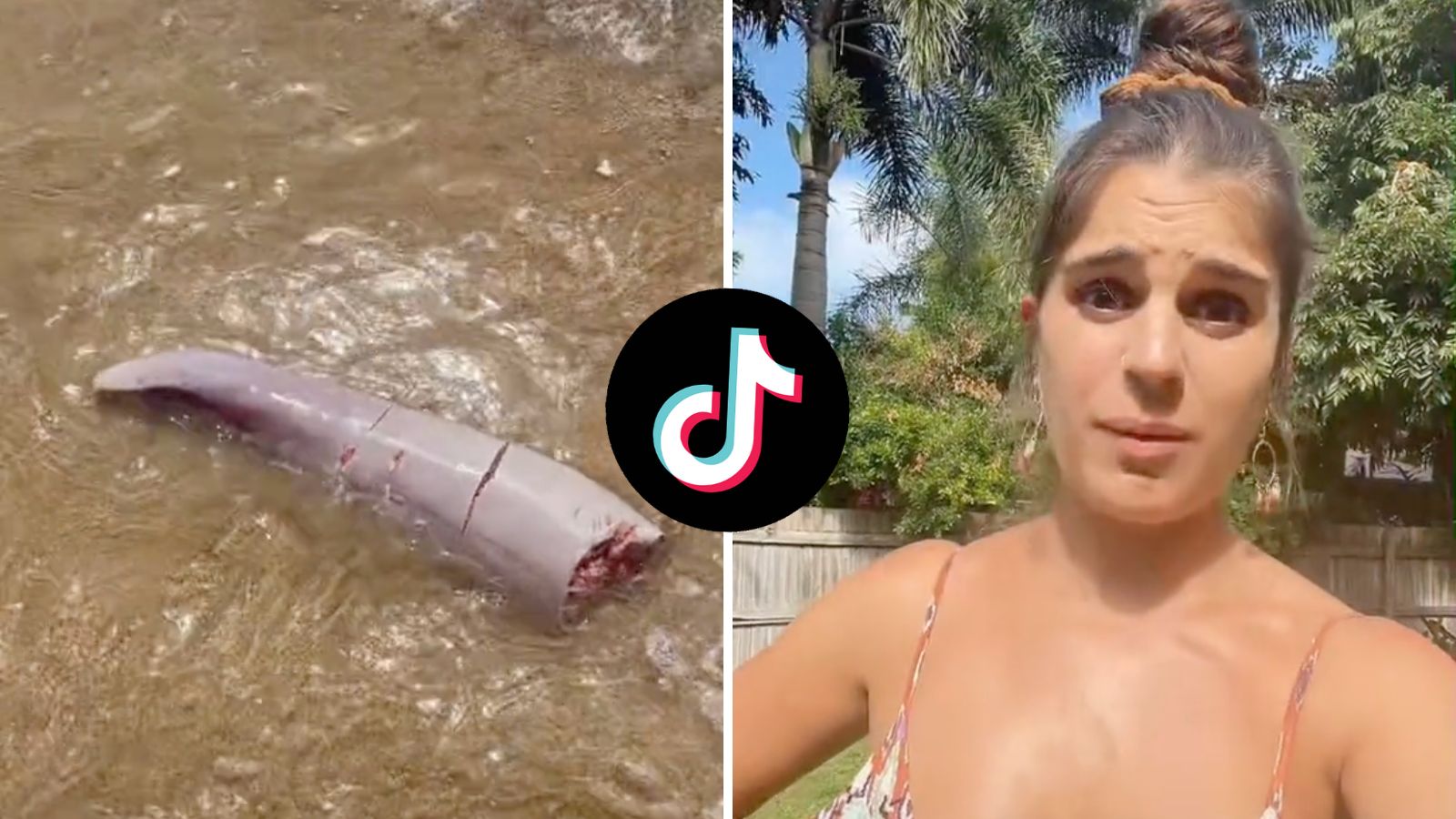 TikToker diventa virale dopo aver trovato il pene di una 11