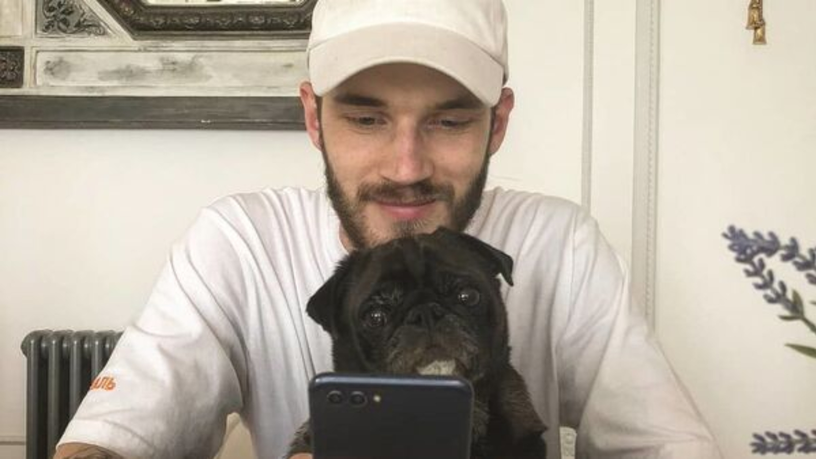 Un politico giapponese vuole che i cani di PewDiePie aiutino 85