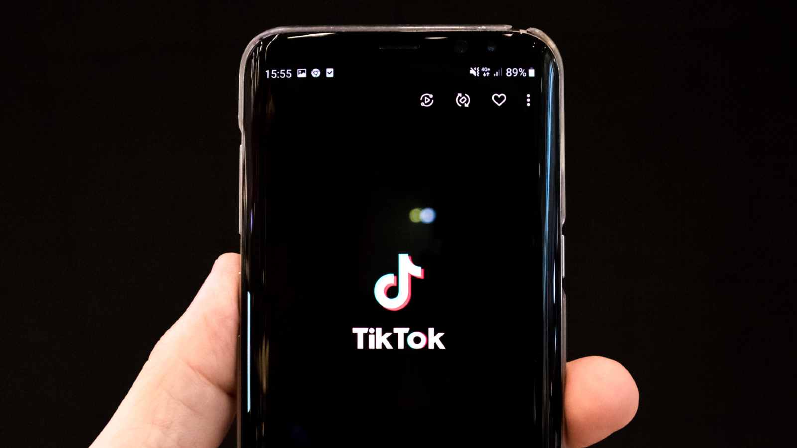1667545718 Quanto vale il leone su TikTok 57
