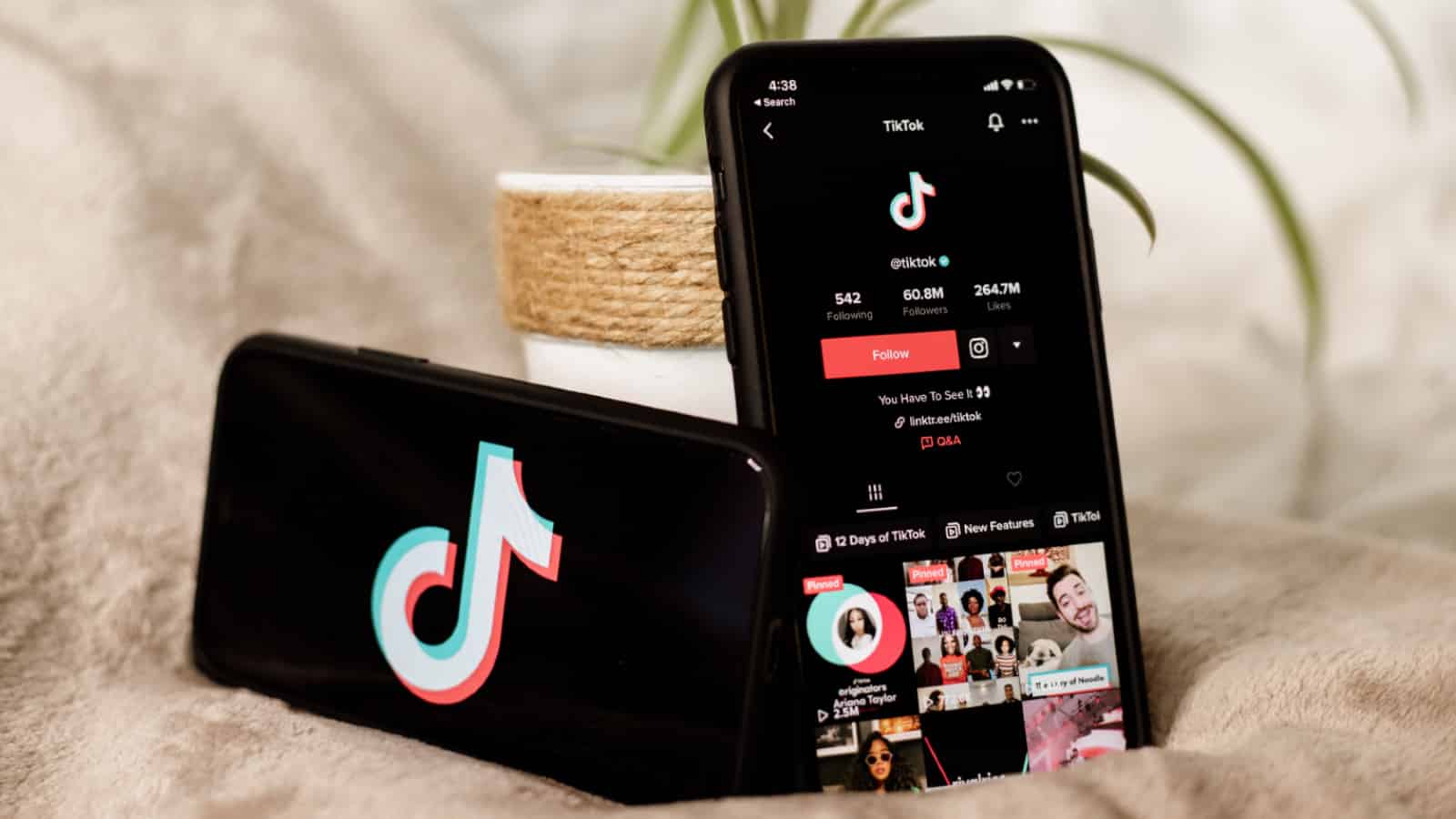Cosa significa ID su TikTok 41