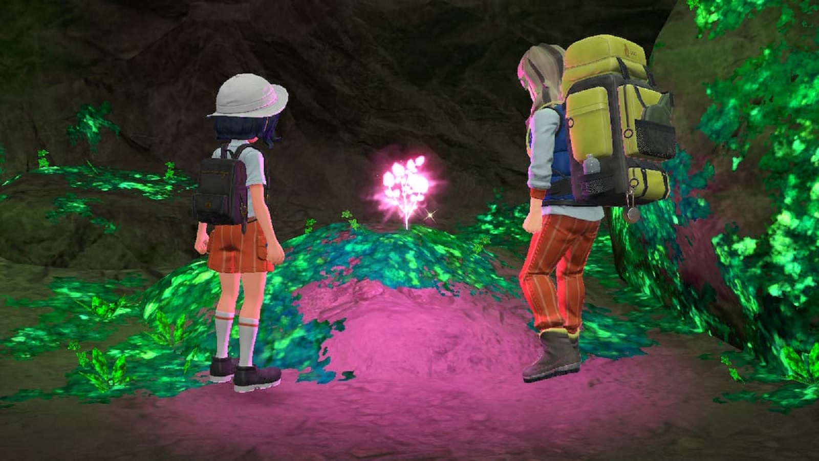 1671883624 Pokemon Scarlet Violet Herba Mystica drops 21
