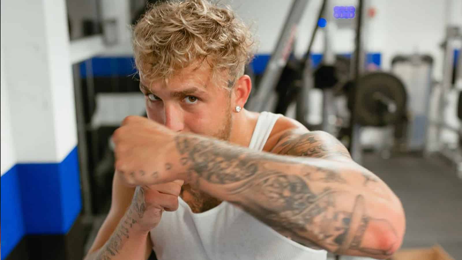 jake paul 5