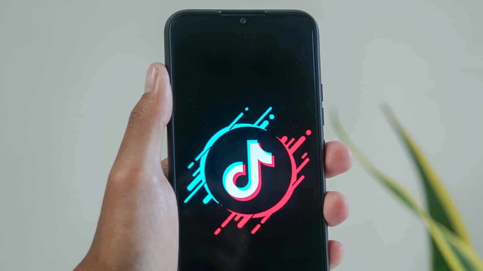 Quanto vale una rosa su TikTok 15