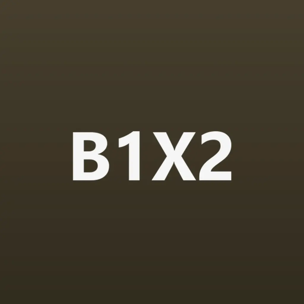 Logo B1X2