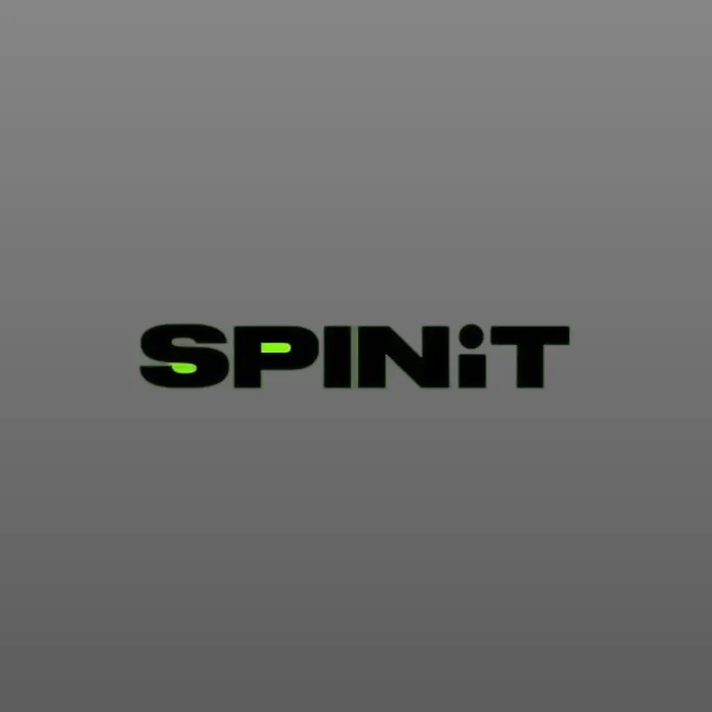 Logo SPINiT